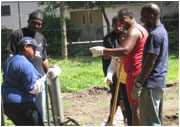 green-collar workers